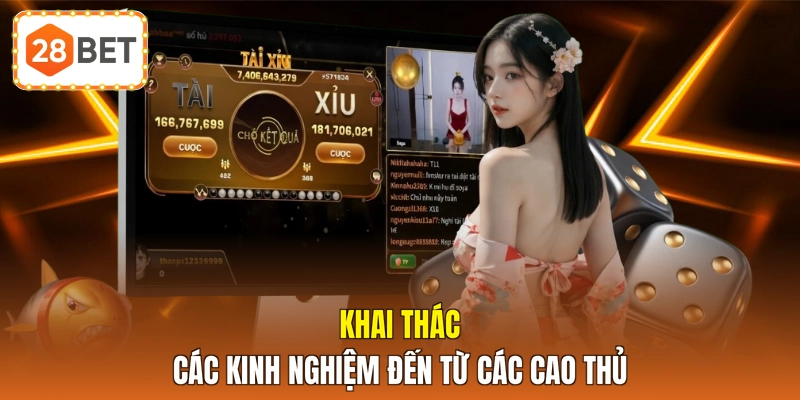 Khai thác các kinh nghiệm đến từ các cao thủ