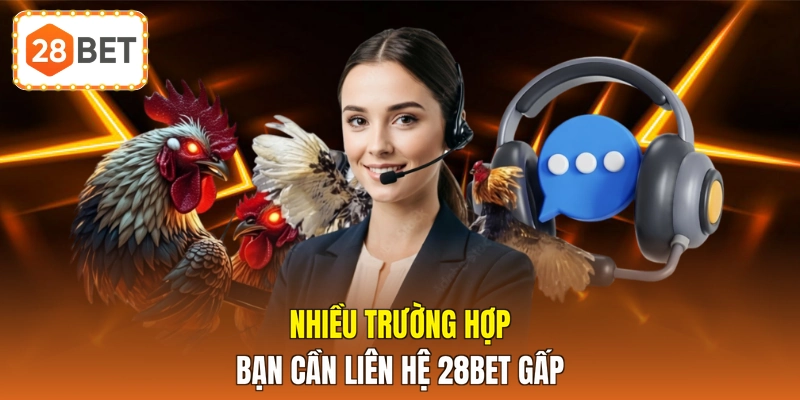Nhiều trường hợp bạn cần liên hệ 28BET gấp