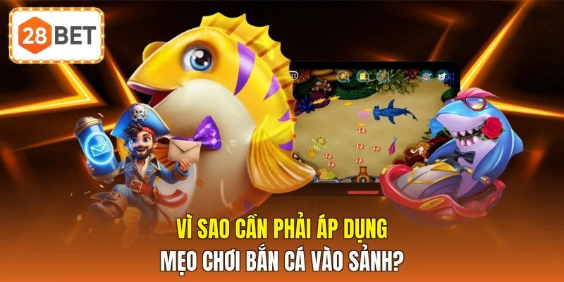 Vì sao cần phải áp dụng mẹo chơi bắn cá vào sảnh?